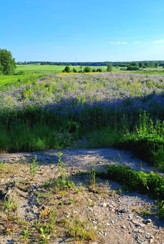Działka rolna Wieprzów Tarnawacki Skrzypny Ostrów. Zdjęcie 1