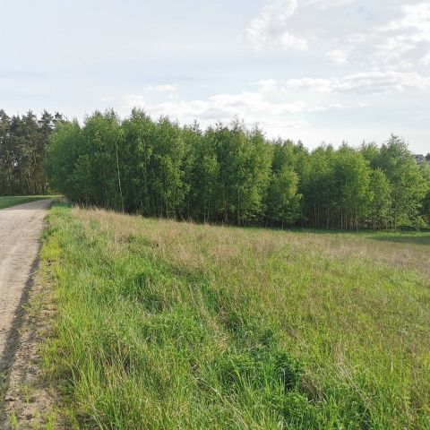 Działka budowlana Dzierzążenko. Zdjęcie 18