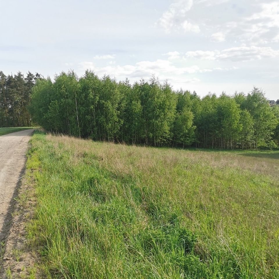Działka budowlana Dzierzążenko. Zdjęcie 18