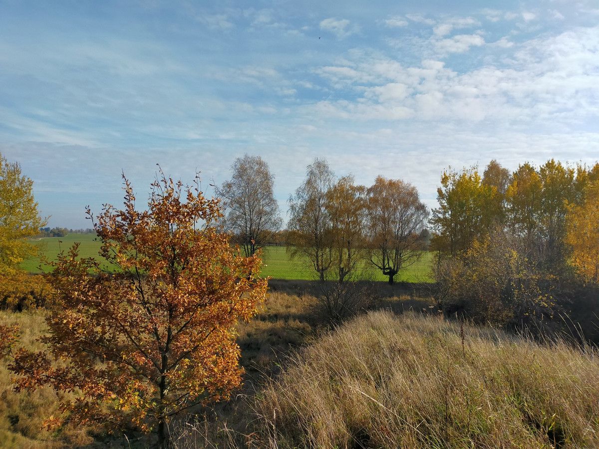 Działka rolna Chwiram. Zdjęcie 7