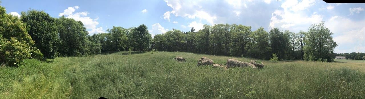 Działka leśna Gusin. Zdjęcie 3