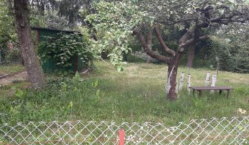 Działka rod Włocławek Południe , ul. Lisek