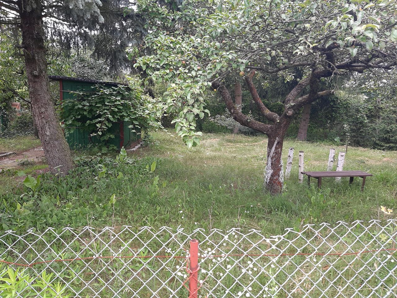 Działka rod Włocławek Południe , ul. Lisek. Zdjęcie 2