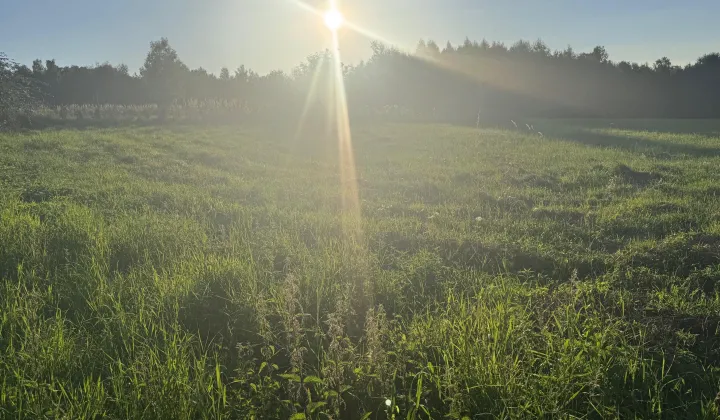 Działka budowlana Sułkowice Miarkówka, ul. Okrężna