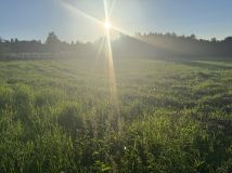 Działka budowlana Sułkowice Miarkówka, ul. Okrężna