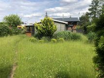 Działka rod Warszawa Paluch, ul. Paluch. Zdjęcie 2