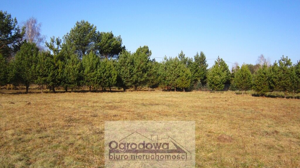 Działka Sekłak. Zdjęcie 1