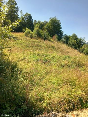 Działka budowlana Ochotnica Dolna Szymany, os. Szymany. Zdjęcie 1