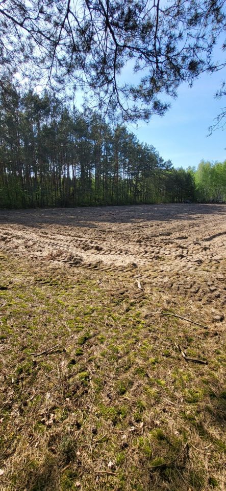 Działka rolno-budowlana Zygmuntowo. Zdjęcie 5