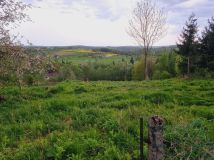 Działka rolno-budowlana Uszew. Zdjęcie 2