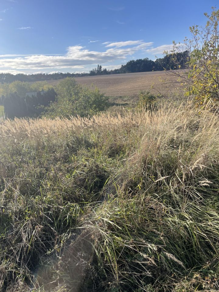 Działka budowlana Drzycim, ul. Osiedlowa. Zdjęcie 5