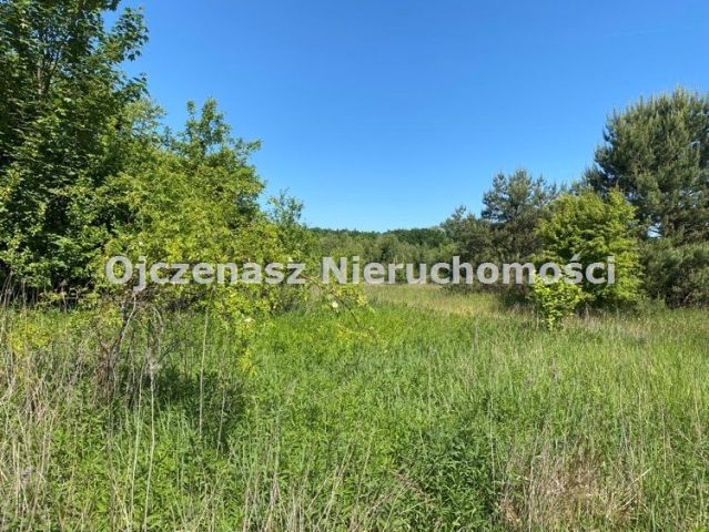 Działka budowlana Otowice. Zdjęcie 3