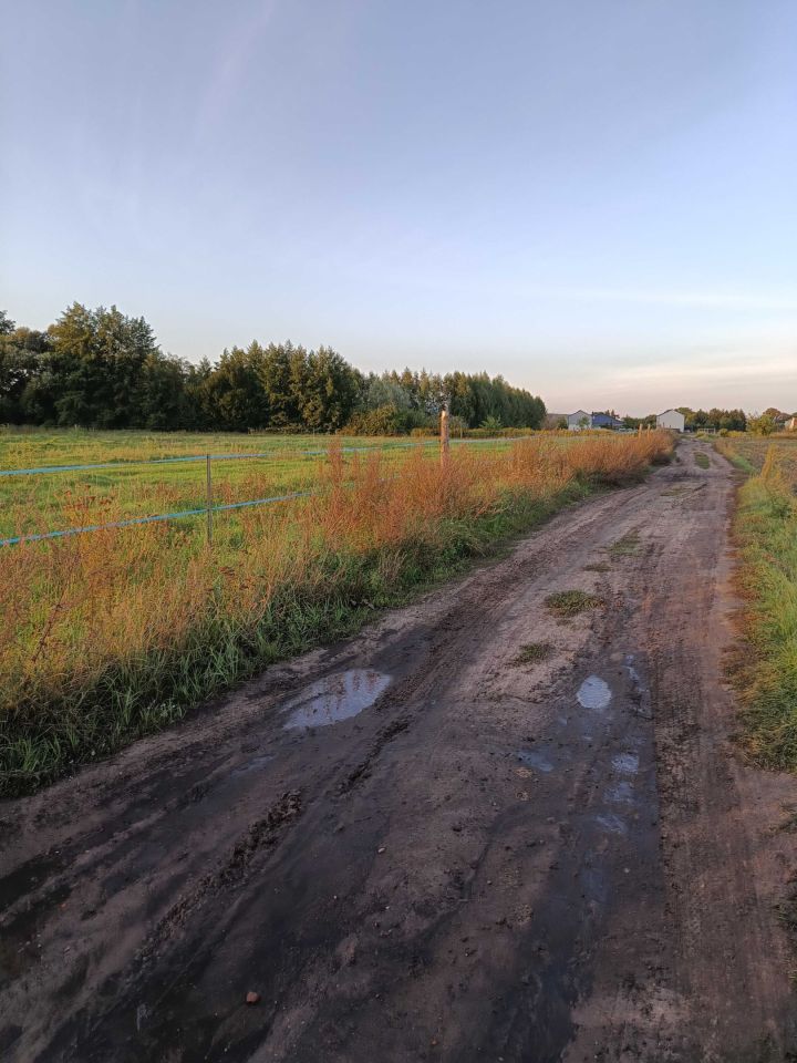 Działka inwestycyjna Krosinko, ul. Orzechowa. Zdjęcie 4