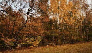 Działka leśna Kukowo