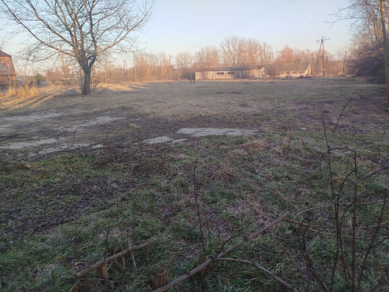 Działka rolno-budowlana Bałdrzychów. Zdjęcie 5