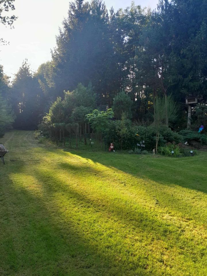 Działka rekreacyjna Strzeszewo. Zdjęcie 6