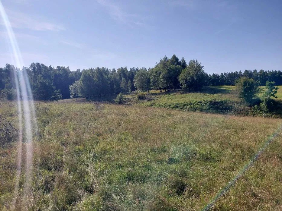 Działka budowlana Pomlewo, ul. Sosnowa. Zdjęcie 8