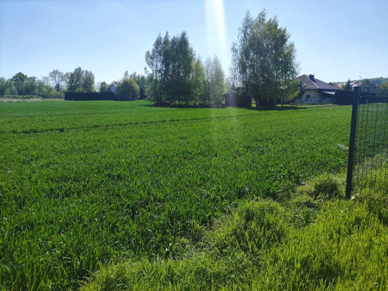 Działka budowlana Wierzbna. Zdjęcie 4