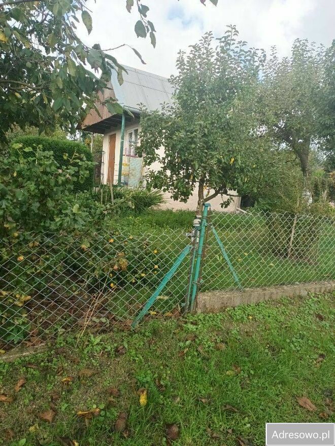 Działka rod Ełk. Zdjęcie 2