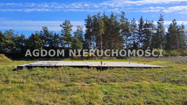 Działka Grodztwo. Zdjęcie 1