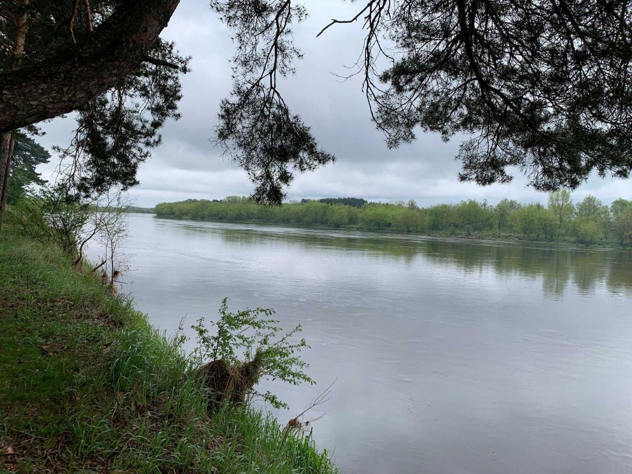 Działka leśna Gulczewo. Zdjęcie 7