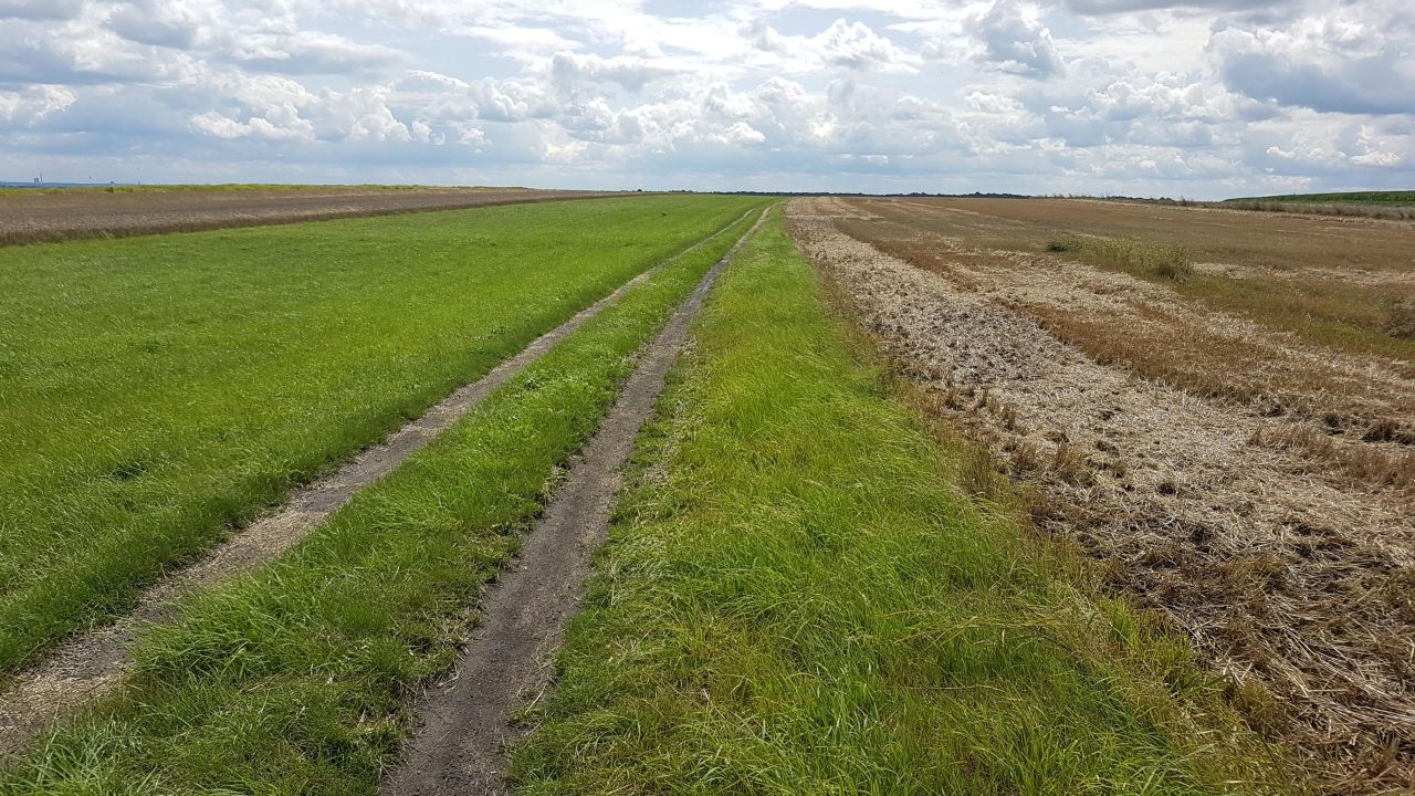 Działka rolna Gliwice Ostropa, ul. Ignacego Daszyńskiego. Zdjęcie 5