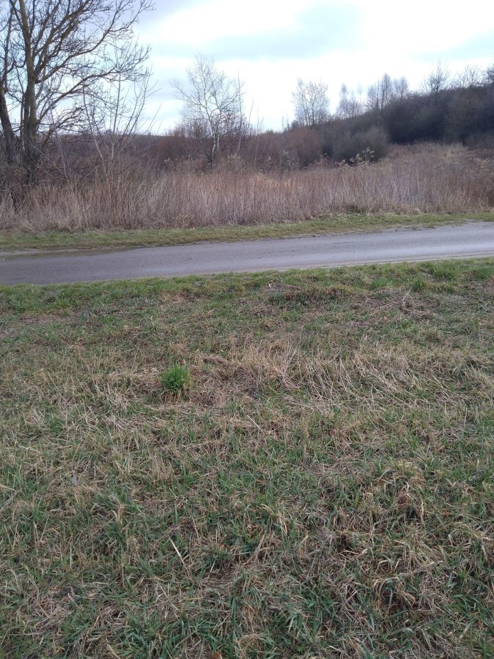 Działka rolno-budowlana Sandomierz Gołębice, ul. Lipowa. Zdjęcie 3