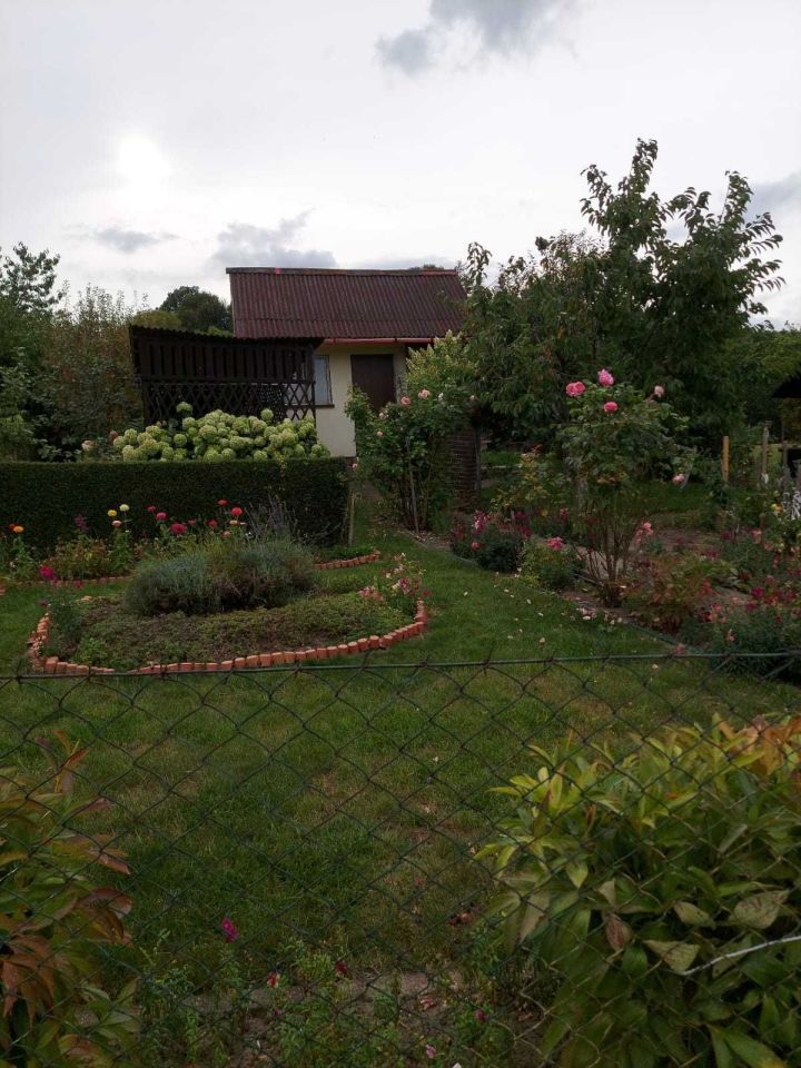 Działka rod Bielawa. Zdjęcie 7