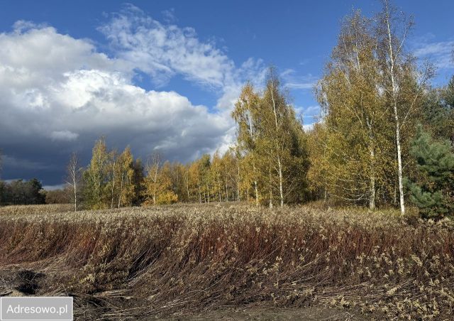 Działka budowlana Miłoszyce, ul. Magnoliowa. Zdjęcie 1