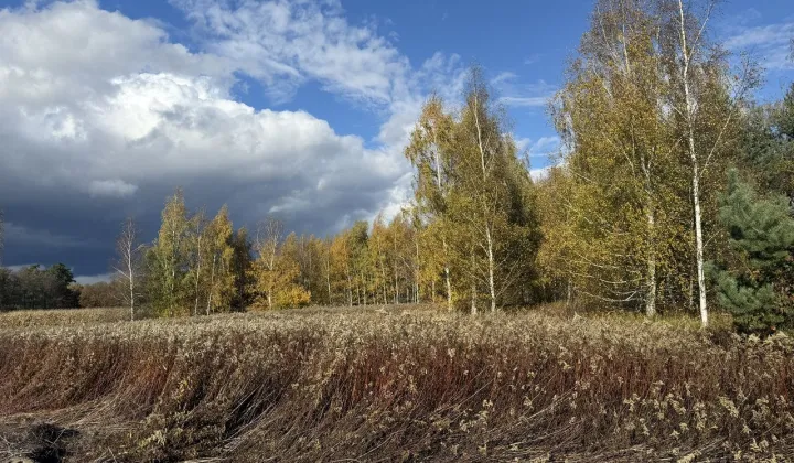 Działka budowlana Miłoszyce, ul. Magnoliowa