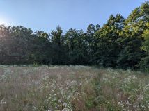 Działka budowlana Kalinowo. Zdjęcie 4