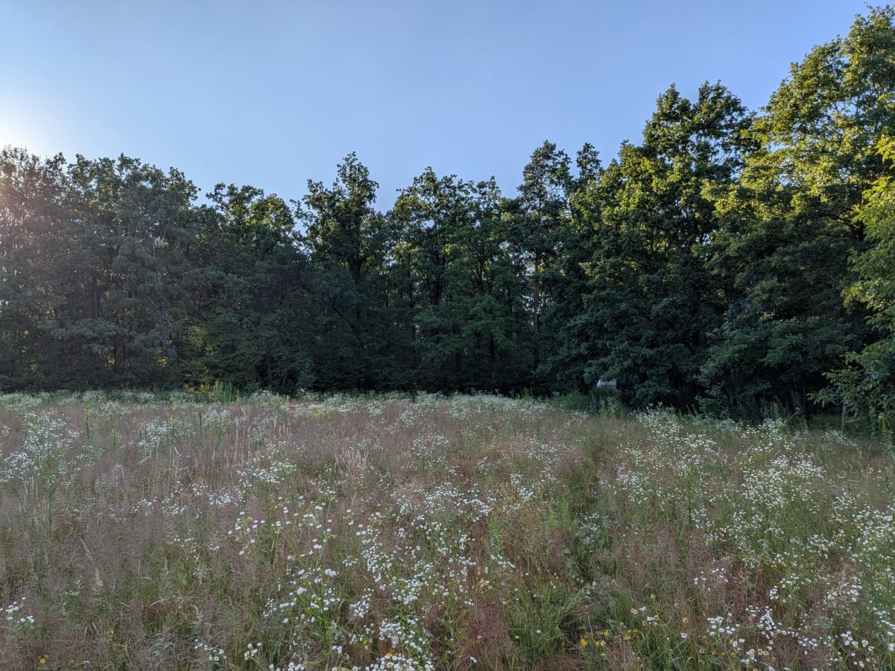 Działka budowlana Kalinowo. Zdjęcie 5