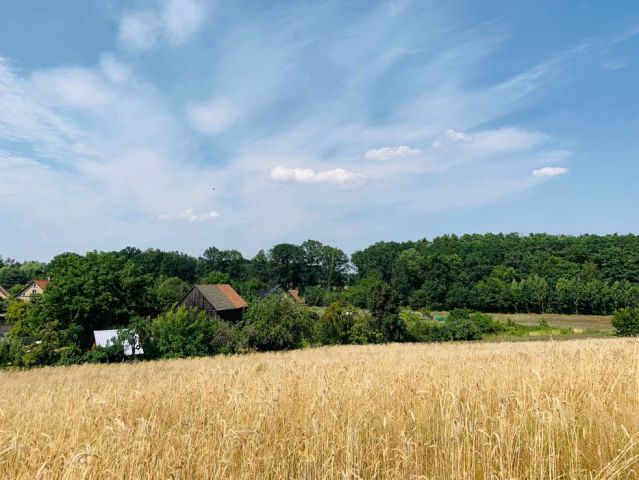 Działka budowlana Sieniawa. Zdjęcie 1