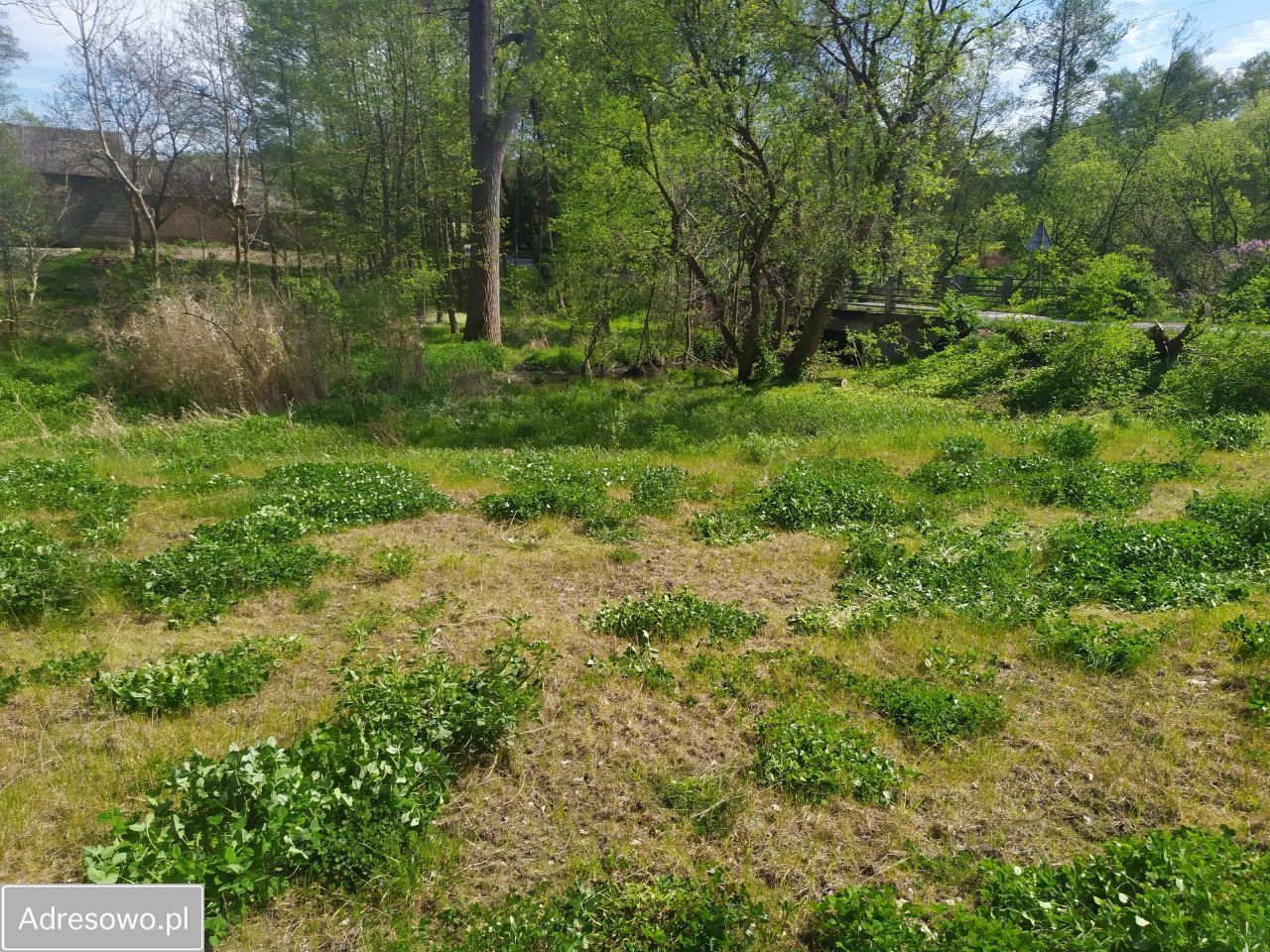 Działka budowlana Dąbrówka Mała. Zdjęcie 5