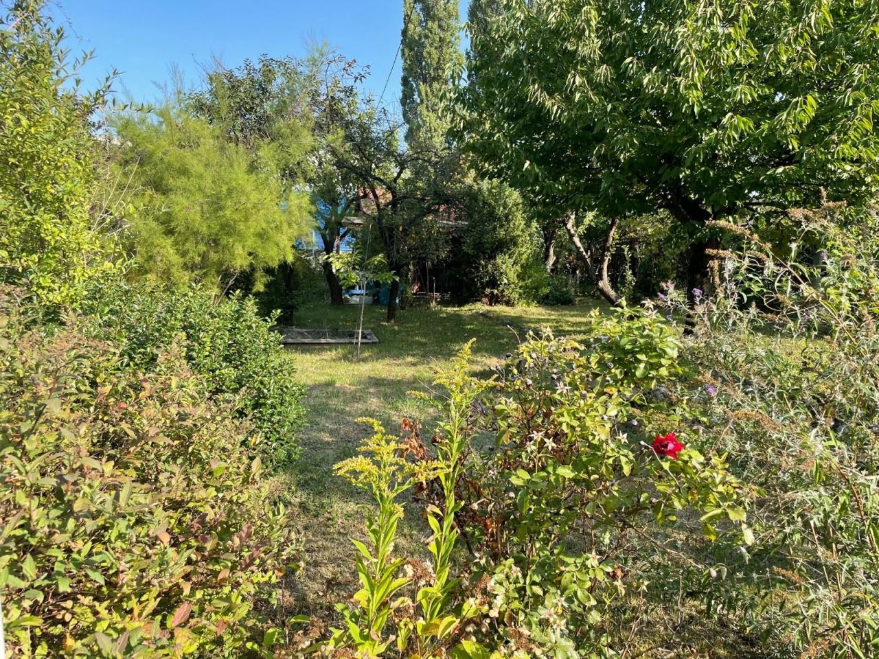 Działka rod Warszawa Mokotów. Zdjęcie 7