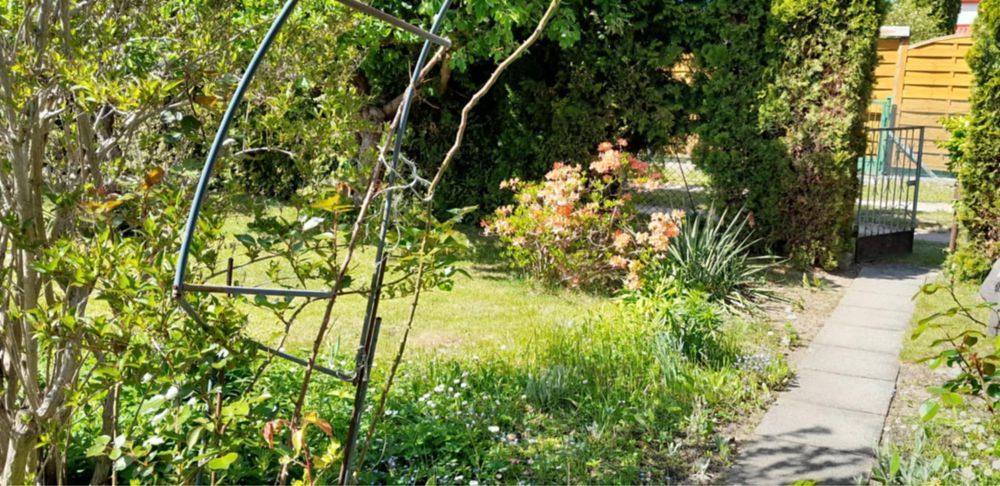 Działka rod Iława. Zdjęcie 3