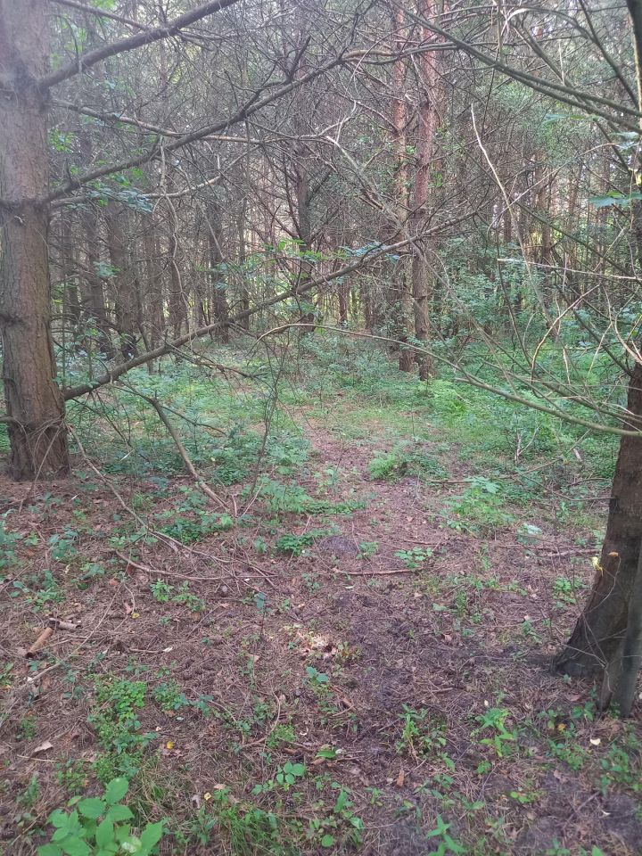 Działka leśna Brok Żurawieniec, ul. Żurawieniec. Zdjęcie 6