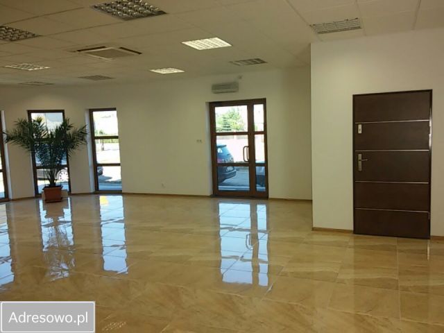 Lokal Brzoza, ul. Polna. Zdjęcie 1