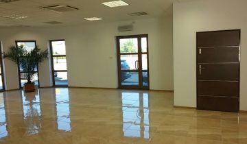 Lokal Brzoza, ul. Polna