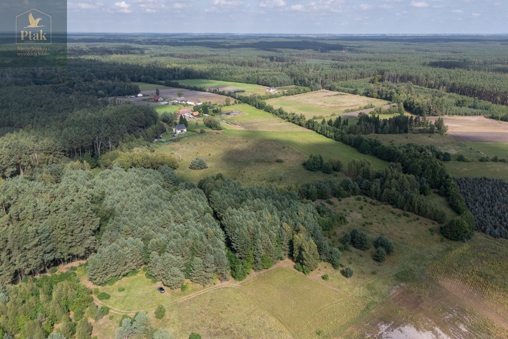 Działka rolna Obrzycko. Zdjęcie 14