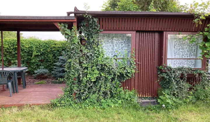 Działka rod Września, ul. Działkowców