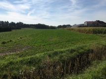 Działka inwestycyjna Sokołowice. Zdjęcie 2
