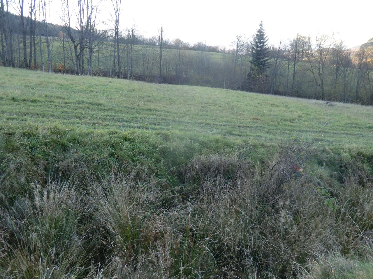 Działka rekreacyjna Juszczyna Puścizna. Zdjęcie 4