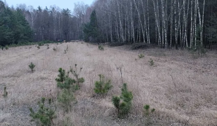 Działka budowlana Gołąbek