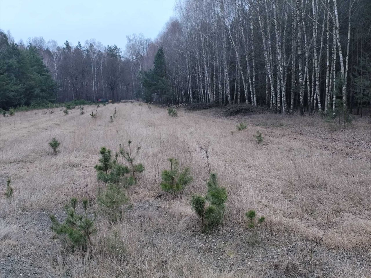Działka budowlana Gołąbek. Zdjęcie 1