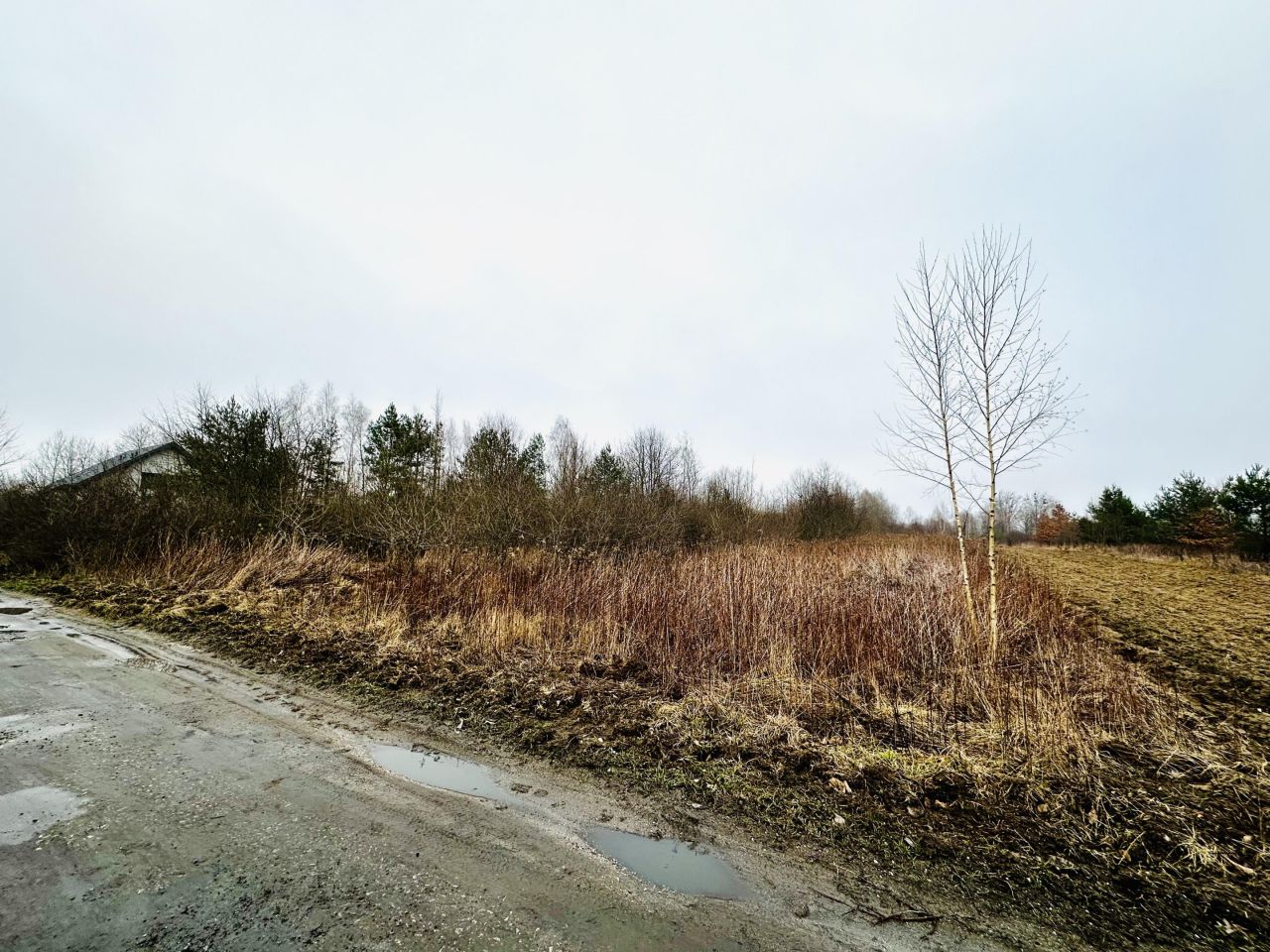 Działka rolna Wygoda. Zdjęcie 5