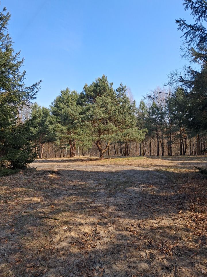 Działka budowlana Ossówno. Zdjęcie 5