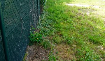 Działka rolna Boszkowo-Letnisko, ul. Piaskowa