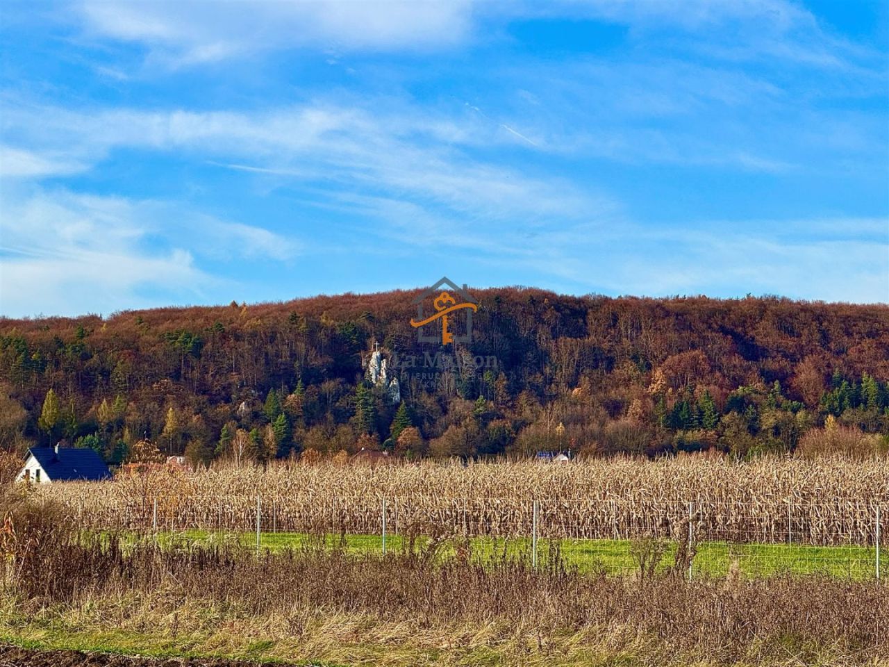 Działka budowlana Rusocice. Zdjęcie 1