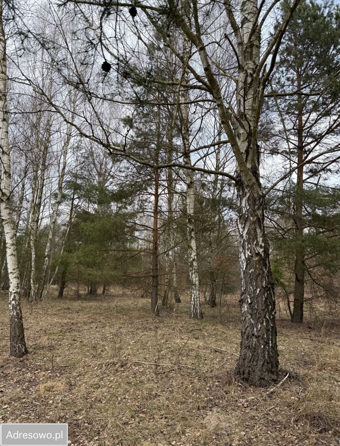 Działka rolno-budowlana Ostojów. Zdjęcie 8